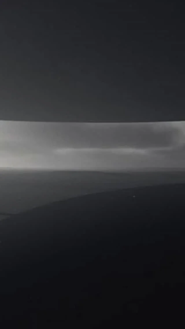 SCANNING…
ANOMALY DETECTED.
DATA INTEGRITY: FAILED