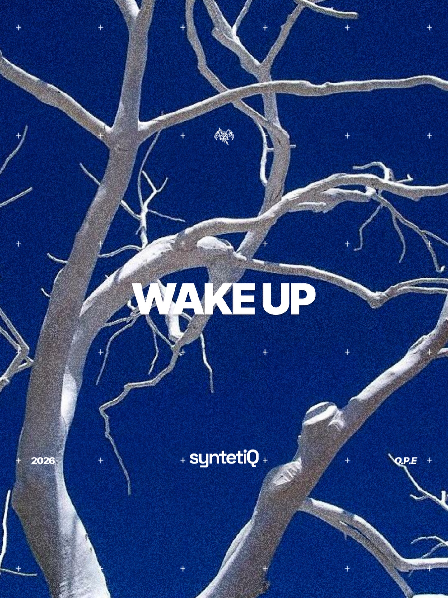Wake up 

#syntetiq #obey #produce #expire #societ